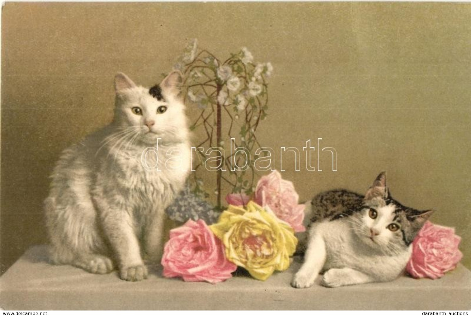 ** 3 Db RÉGI Macska Motívumlap / 3 Pre-1945 Cat Motive Postcards - Unclassified