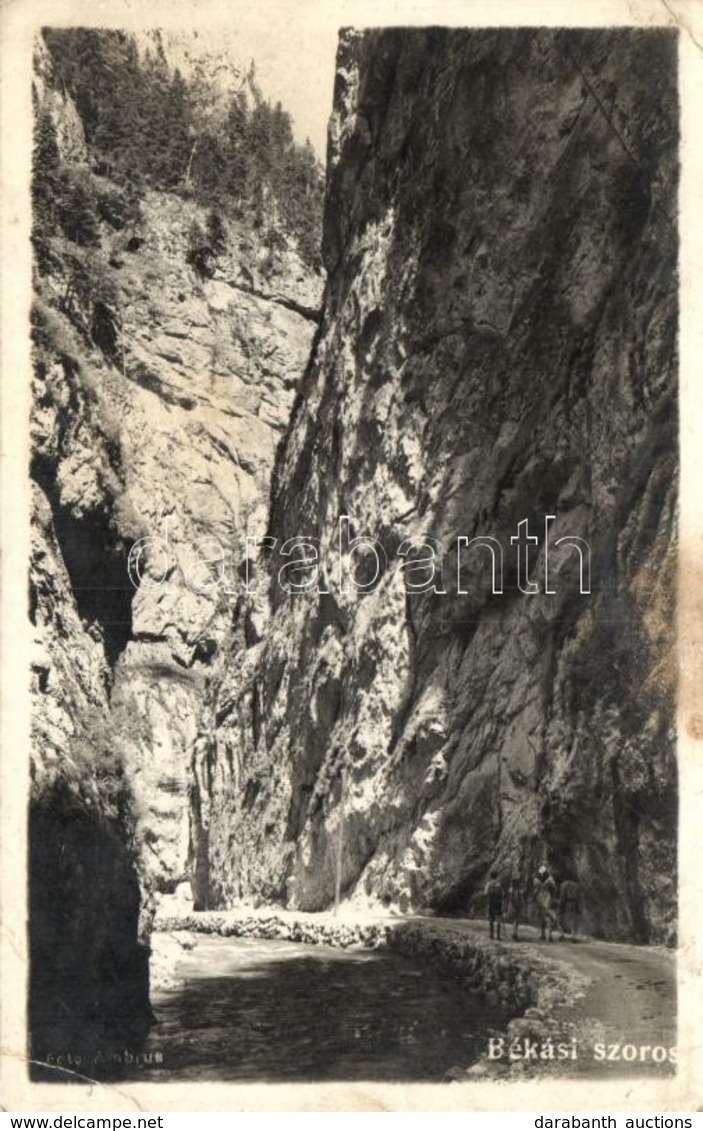 T2/T3 Békás-szoros, Cheile Bicazului; Gorge (EK) - Unclassified