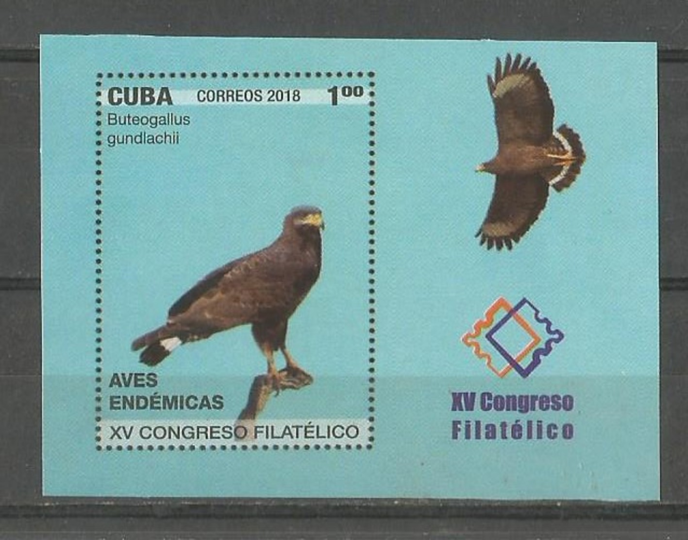 Cuba 2018 Endemic Birds (Owls) XV Philatelic Summit 6v + S/S MNH - Águilas & Aves De Presa