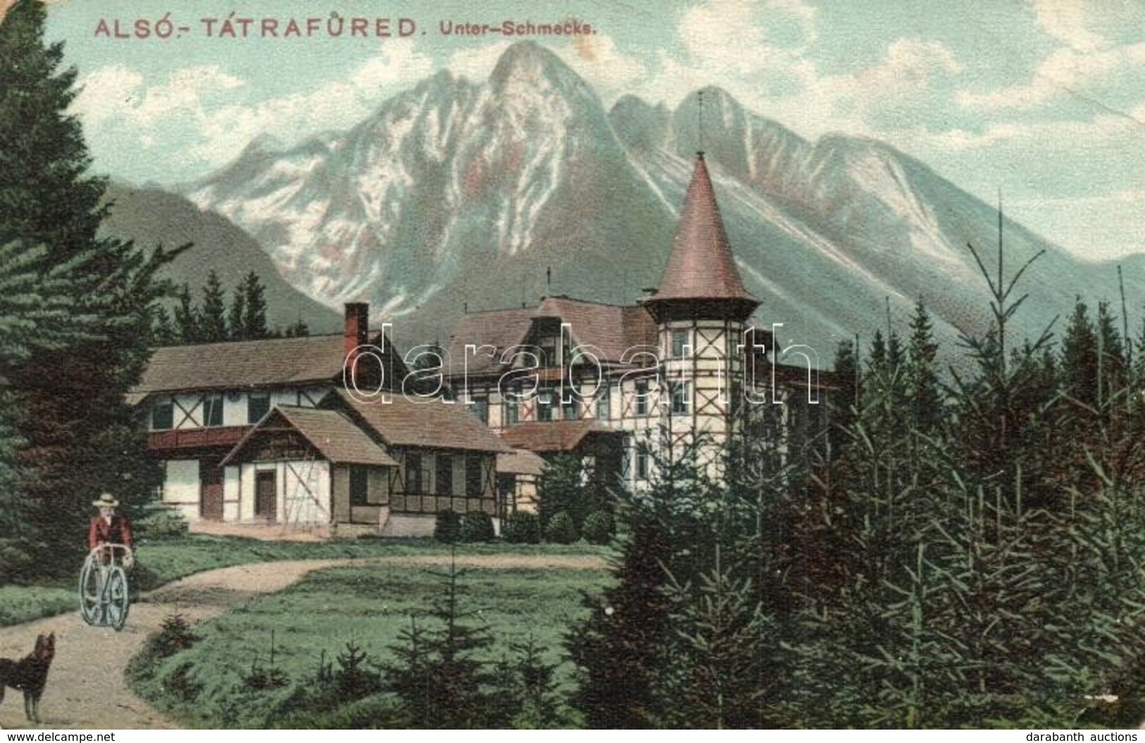 T4 1907 Alsótátrafüred, Tátrafüred, Unter-Schmecks, Dolny Smokovec (Tátra, Magas Tátra, Vysoké Tatry); Nyaraló, Kerékpár - Unclassified