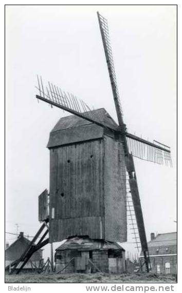 WERVIK (W.Vl.) - Molen/moulin - Historische Opname Van De Kruisekemolen In 1977, Afgebroken In 1985. - Wervik