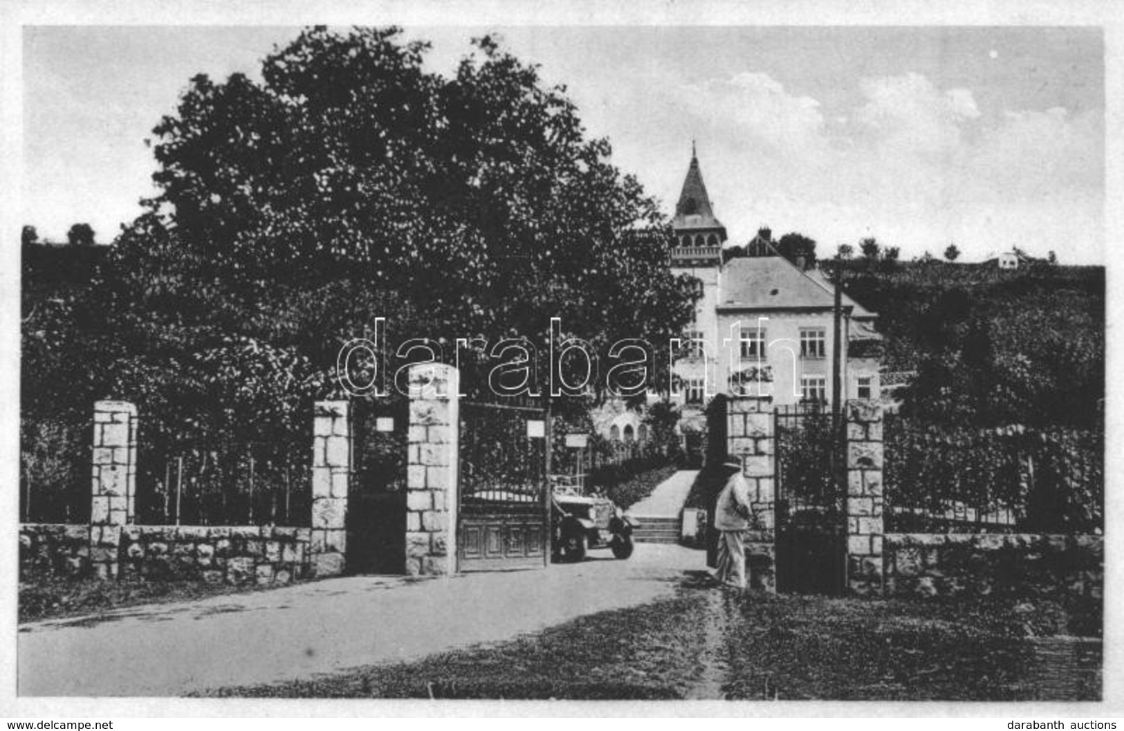 ** T2 Beregszász, Berehove; Állami Borpince, Szőlészet, Automobil. Kiadja Schönberger / State Vineyards, Automobile - Unclassified