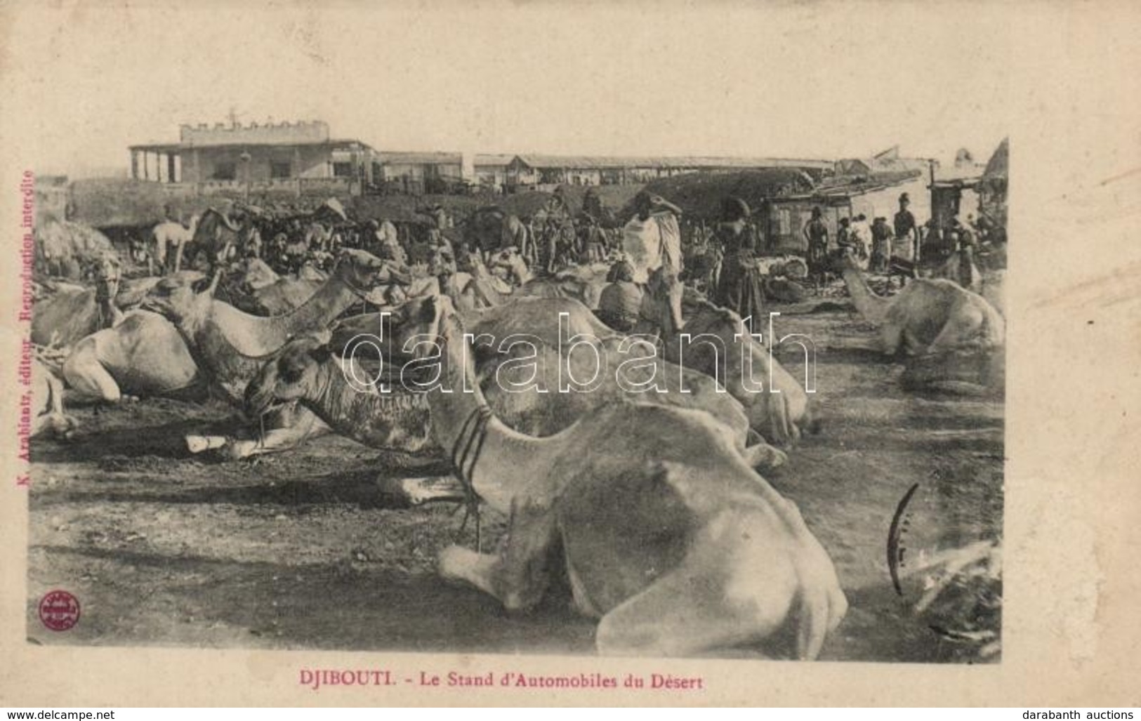 * T2/T3 Djibouti, Le Stand D'Automobiles Du Désert / Camels In The Desert (sligthly Wet Corners) - Zonder Classificatie