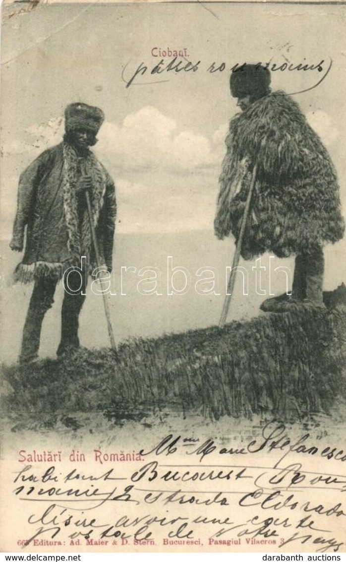 T3 1903 Salutari Din Romania, Ciobani. Editura Ad. Maier & D. Stern / Romanian Folklore, Shepherds (EK) - Zonder Classificatie