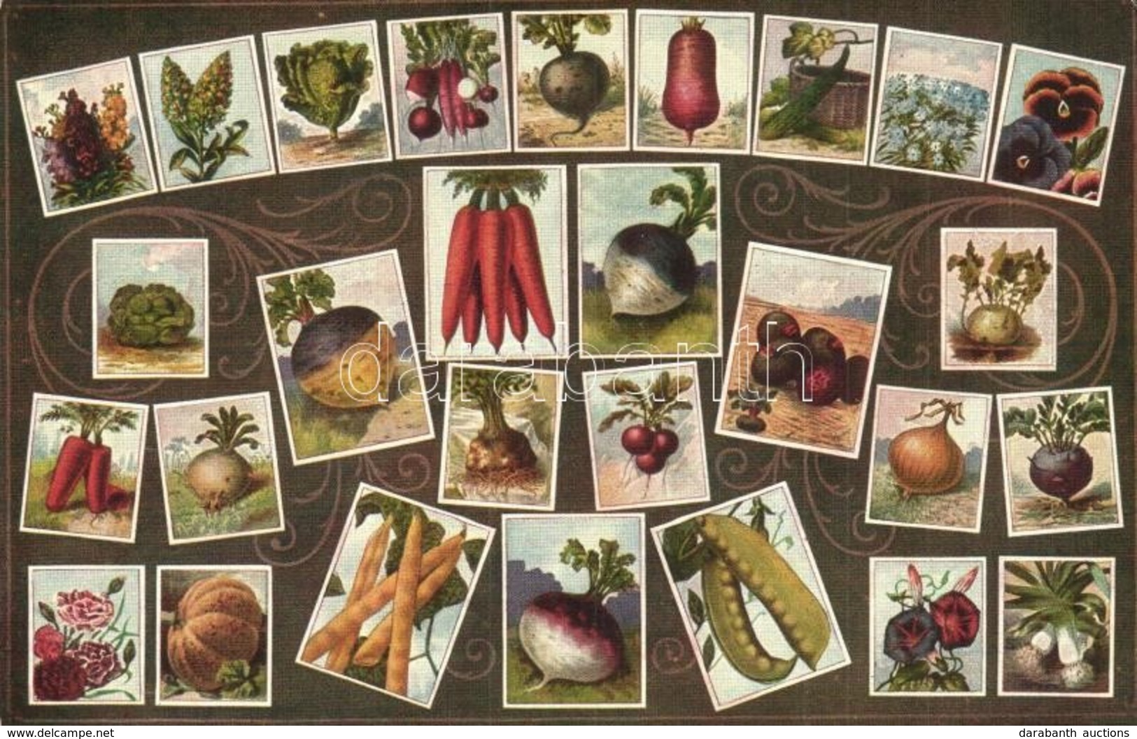 ** T1/T2 Schön & Wertheim Magynagykereskedés Reklám / Hungarian Seed Shop Advertisement, Vegetables - Zonder Classificatie