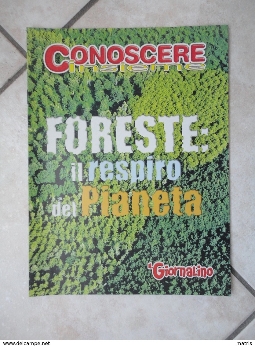 Conoscere Insieme - Opuscolo - Foreste: Il Respiro Del Pianeta -  IL GIORNALINO - Sonstige
