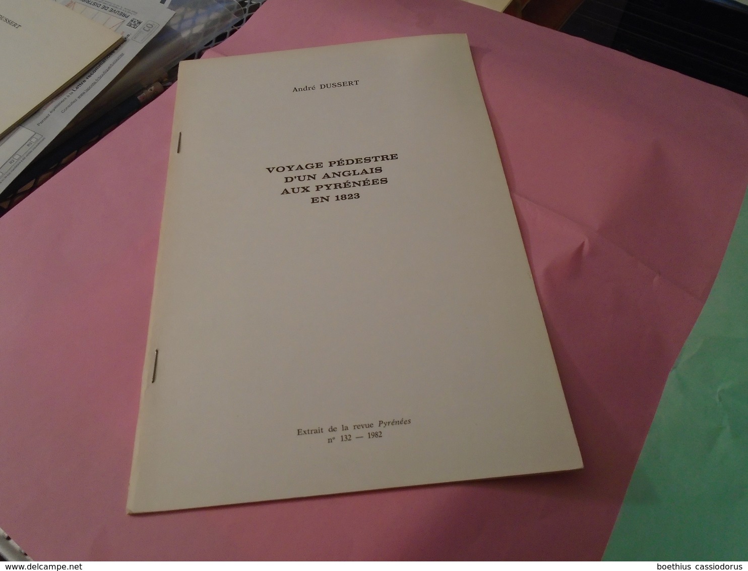 VOYAGE PEDESTRE D'UN ANGLAIS AUX PYRENEES EN 1823  ANDRE DUSSERT - Midi-Pyrénées