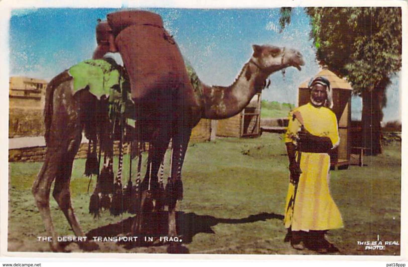 MOYEN ORIENT - IRAQ Irak - Desert Transport In Iraq - CPSM Colorisée 1953 - Irak