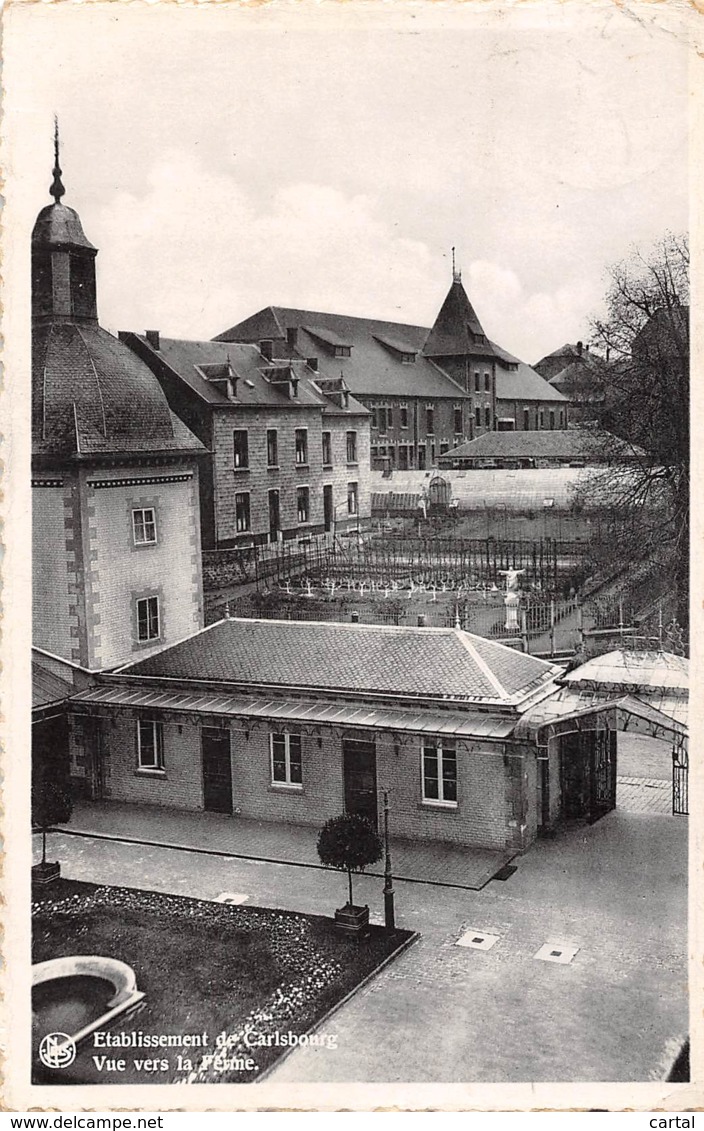 Etablissement De CARLSBOURG - Vue Vers La Ferme - Paliseul