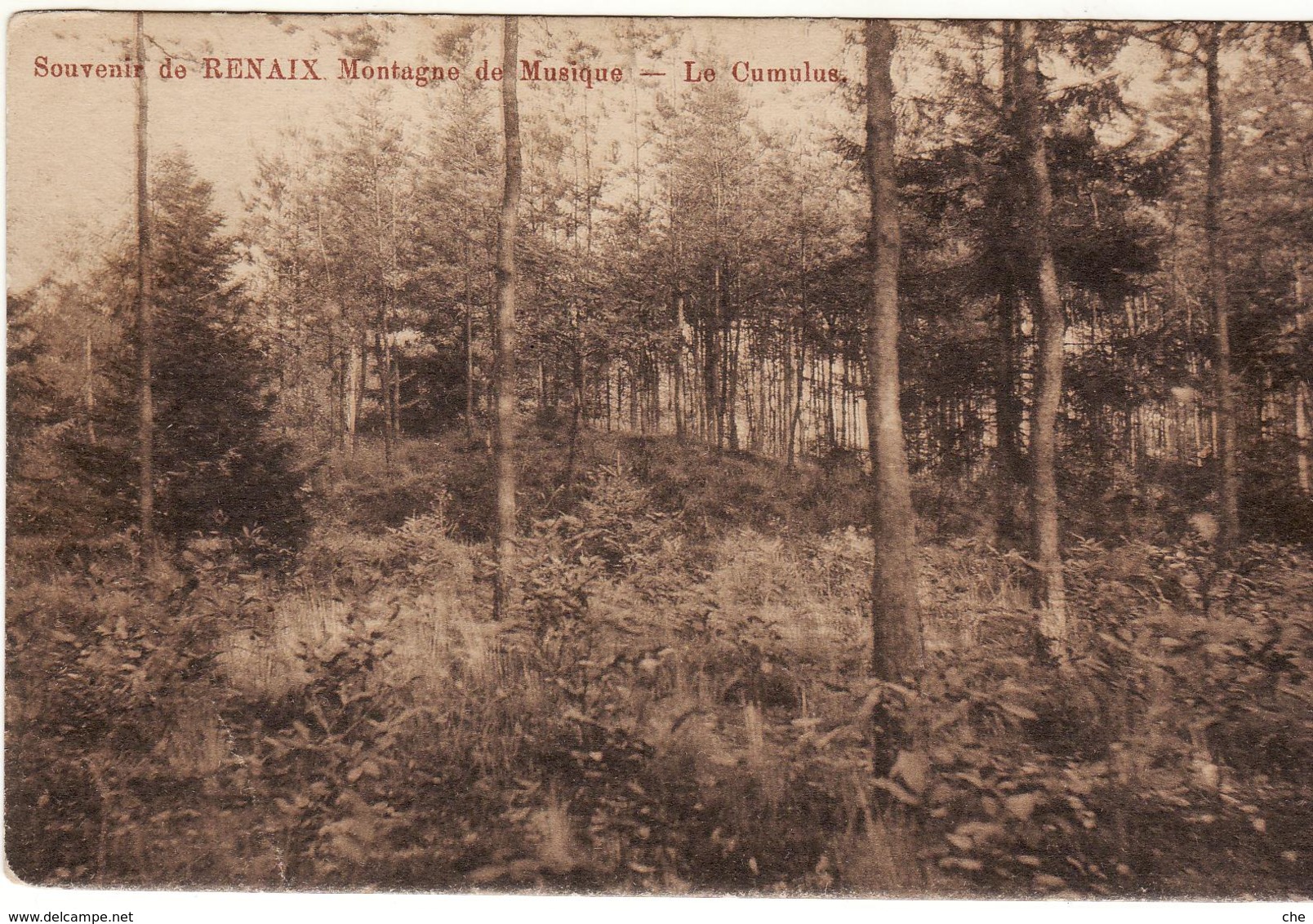 SOUVENIR DE RENAIX LE CUMULUS  1912 - Ronse