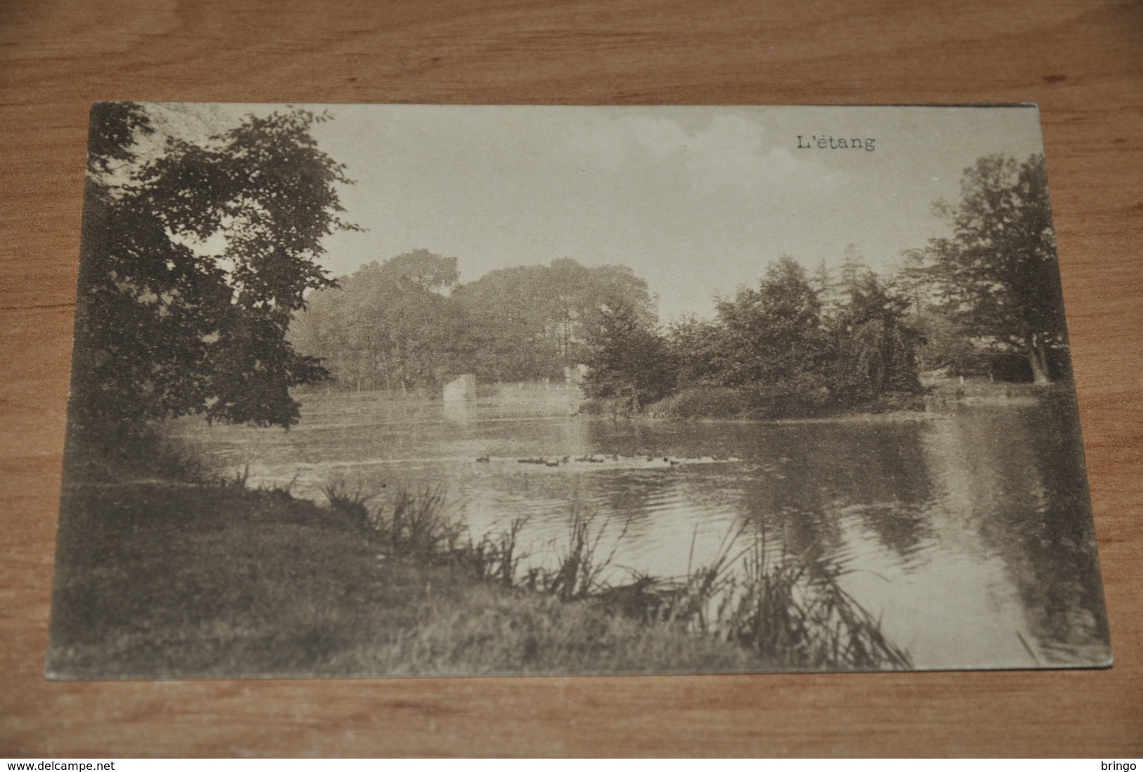 6824-  L' ETANG, LE ROEULX, CHATEAU DES VIVIERS - Le Roeulx