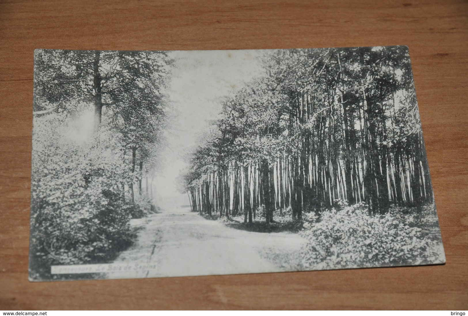 6836- BONSECOURS, LE BOIS DE SAPINS - 1906 - Peruwelz