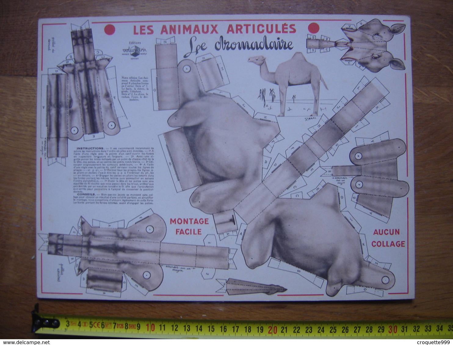 Ancienne PLANCHE VOLUMETRIX Animaux Articules DROMADAIRE Montage Facile Aucun Collage - Autres & Non Classés