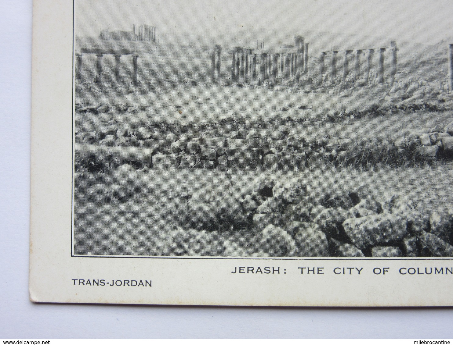 Jerash : The City Of Colums (Gérasa) - Jordan