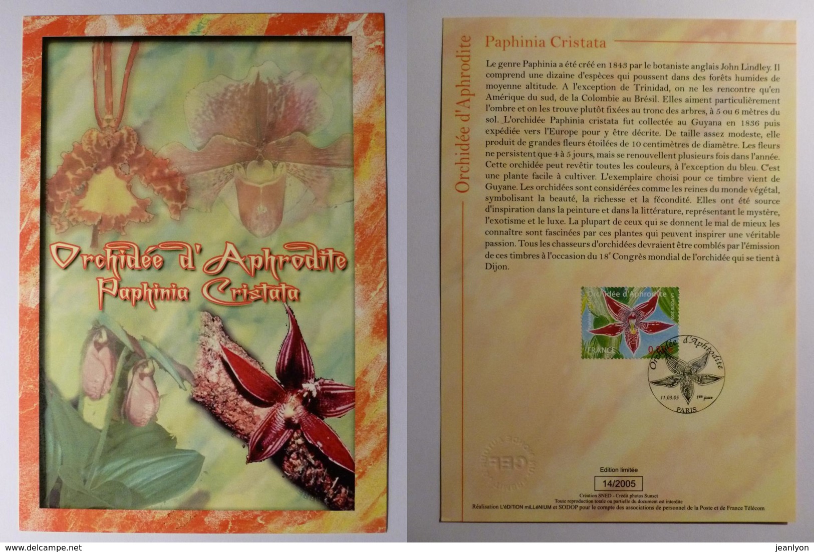 FLEUR / ORCHIDEE D' APHRODITE - Document Philatélique Avec Timbre Et Cachet 1er Jour - Orchidées