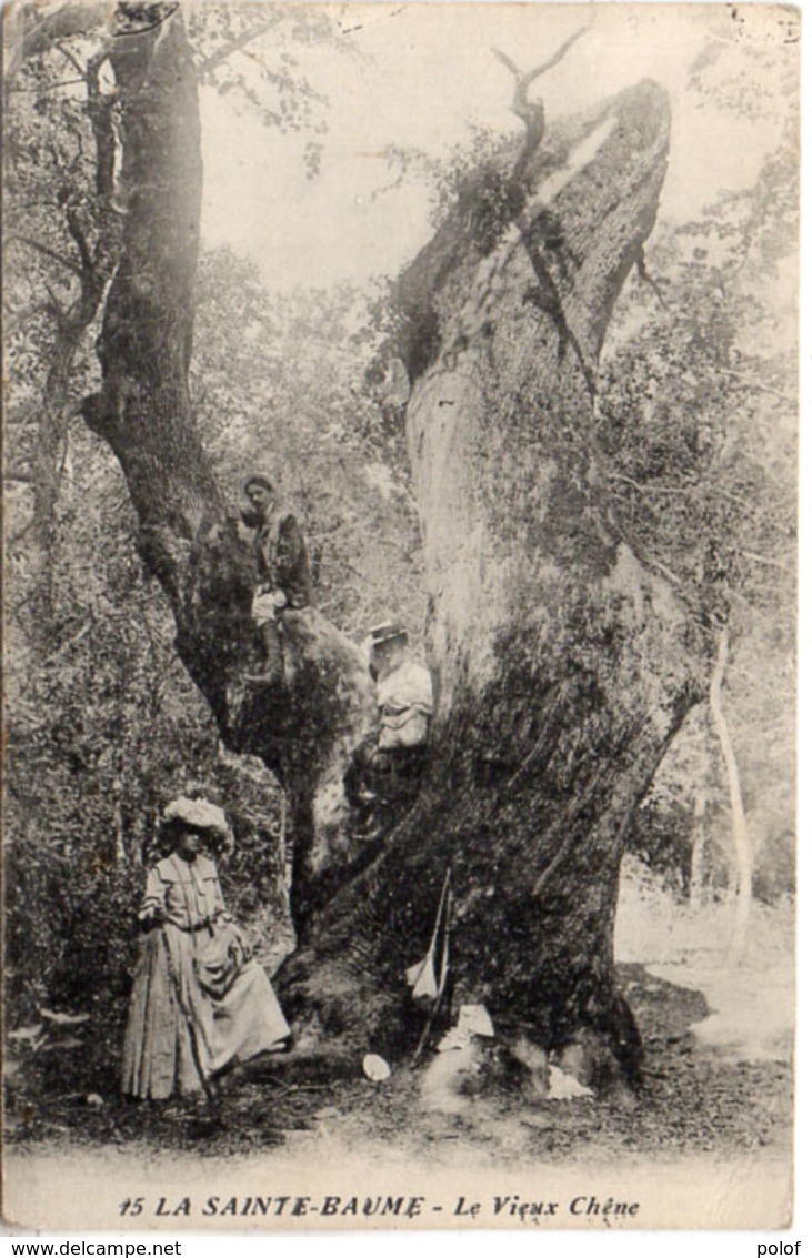 LA SAINTE BAUME - Le Vieux Chene     (110599) - Saint-Maximin-la-Sainte-Baume