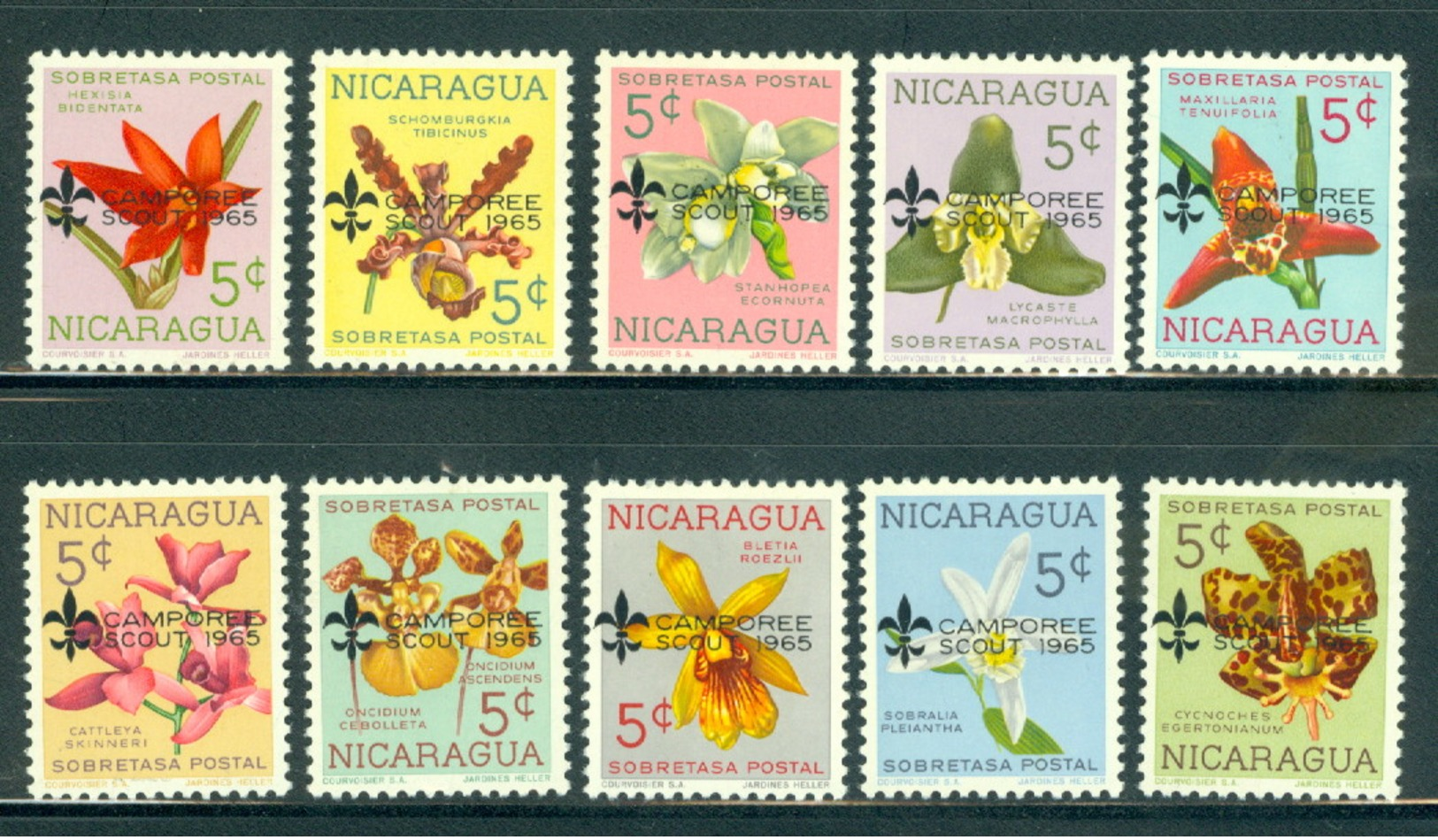 Nicaragua 843-852 Orchids, Scout Camporee 1965 Overpt, Mint NH - Nicaragua