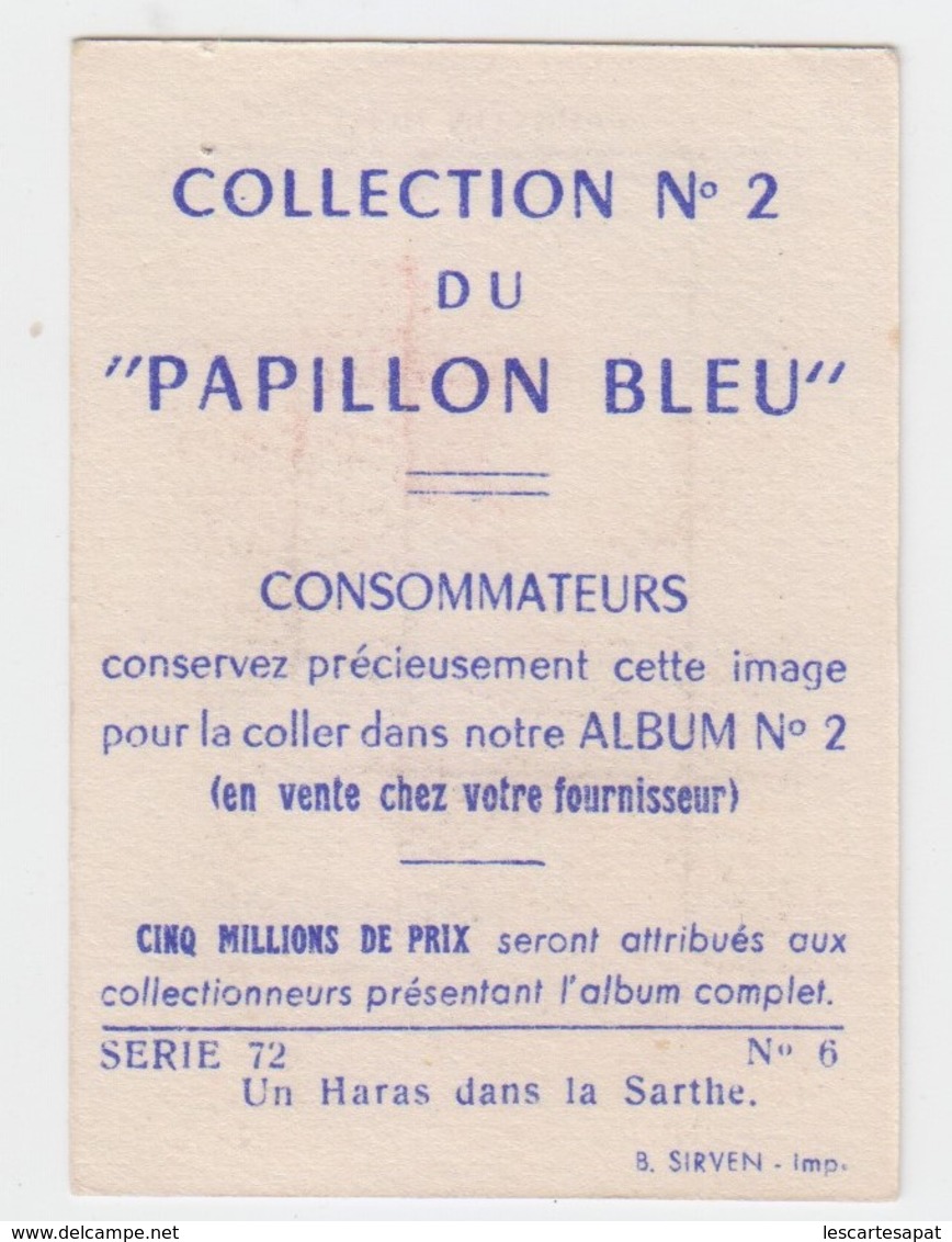 IMAGE FLAN PAPILLON BLEU Serie 72 UN HARAS DANS LA SARTHE  (lot Pat 30 ) - Autres & Non Classés