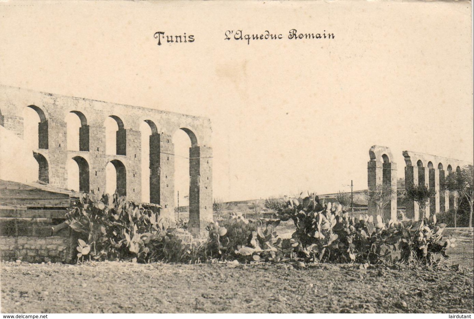 TUNISIE  TUNIS  L'Aqueduc Romain - Tunisie