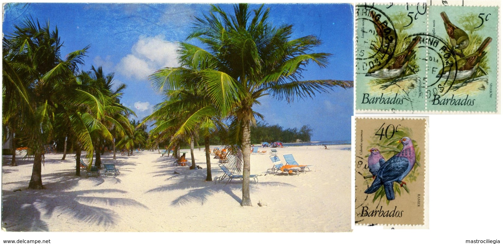 BARBADOS  South Coast Beach  Nice Stamps Birds Theme - Barbados