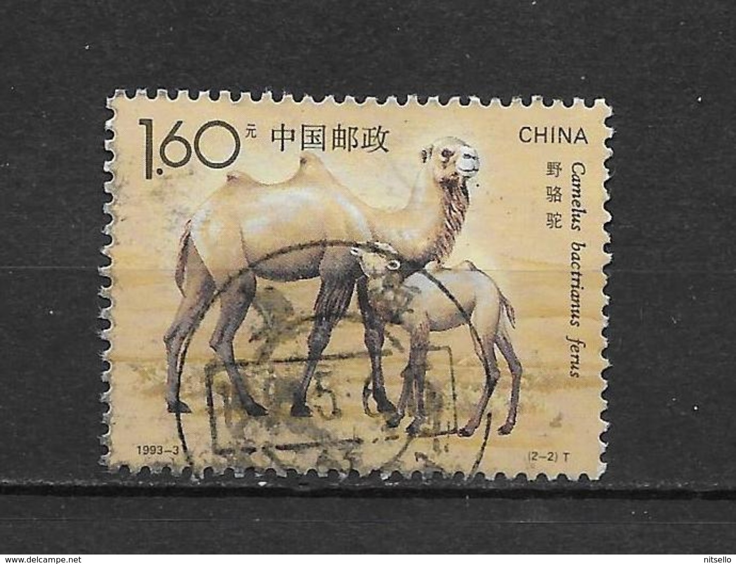 LOTE 1800  ///  (C040)  CHINA 1993   YVERT Nº: 3157 - Used Stamps