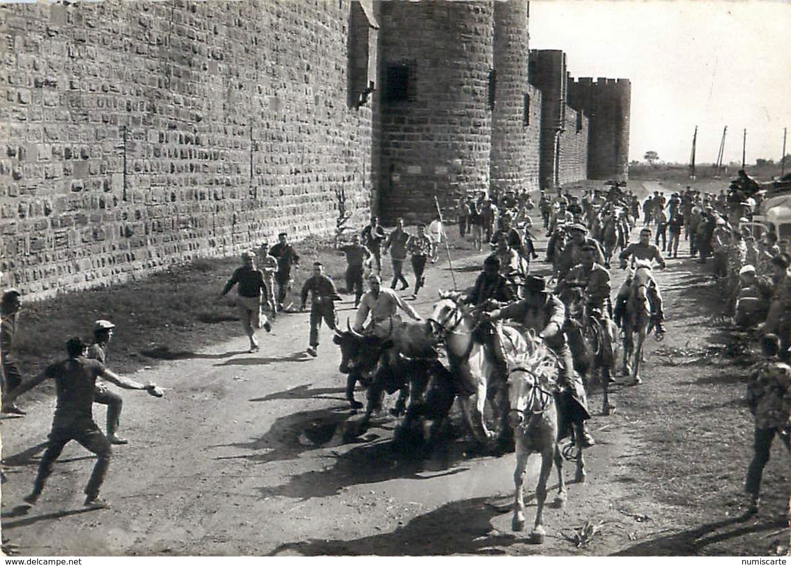 Cpsm AIGUES MORTES 30 Une Abrivado Par La Porte Des Remparts - Aigues-Mortes