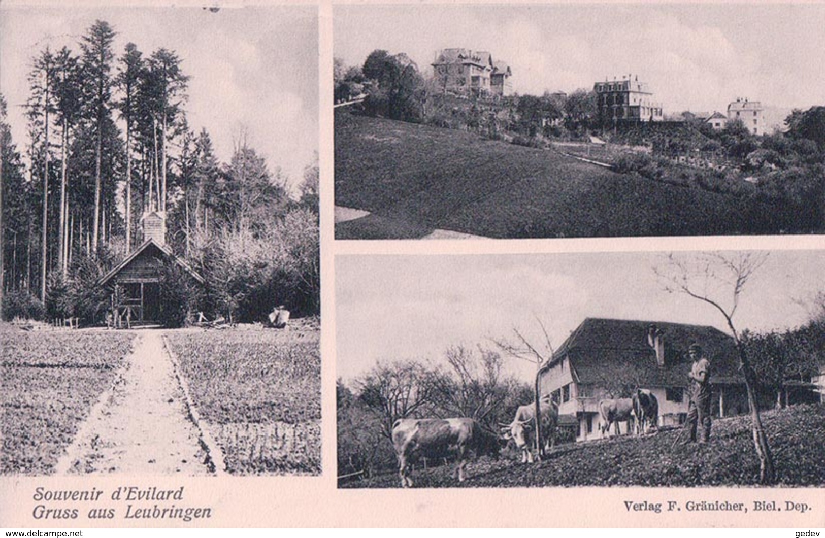 Evilard, Gruss Aus Leubringen, Ferme Et Chalet (3.8.1906) - Evilard