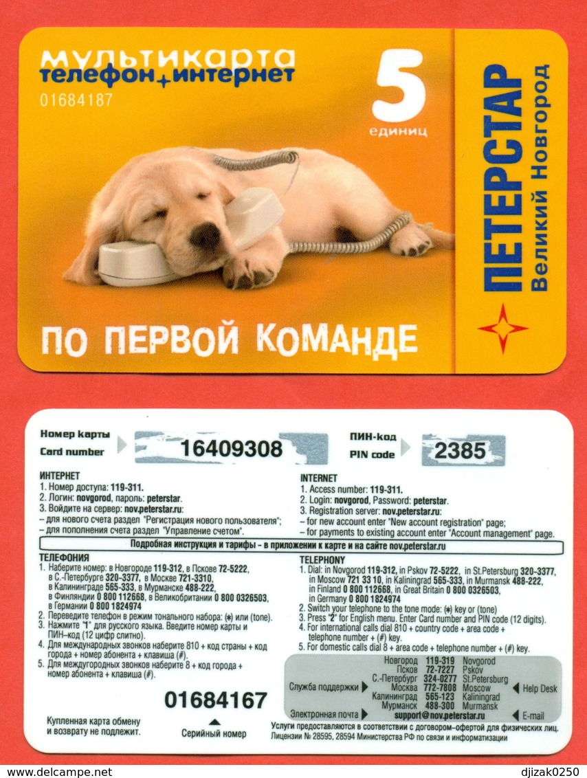 Russia. Saint-Peterburg. Lot Of Two Phonecard "Dogs" - Dogs