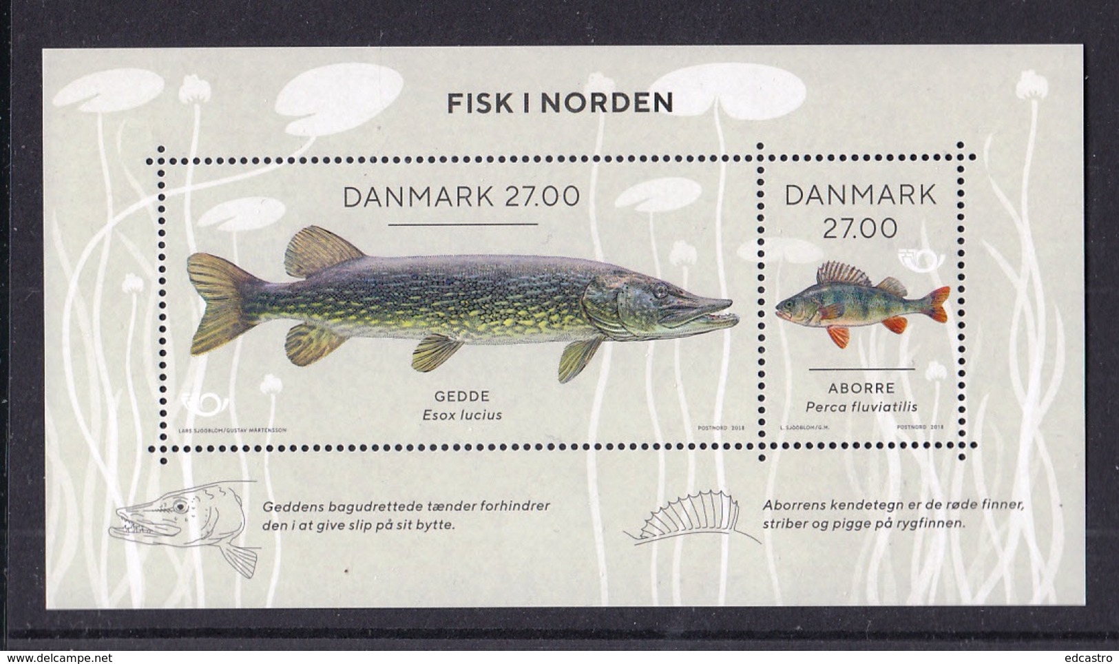 2.- DENMARK 2018 NORDIC FISH - Unused Stamps