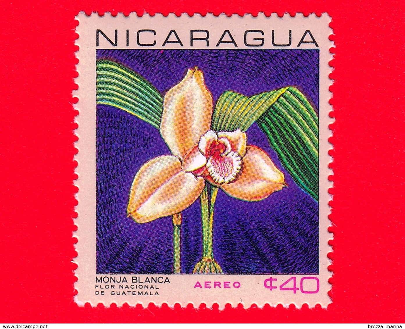 Nuovo - NICARAGUA  - 1967 - Fiori - National Flowers - Lycaste Skinneri Var. Alba - 40  - Posta Aerea - Nicaragua