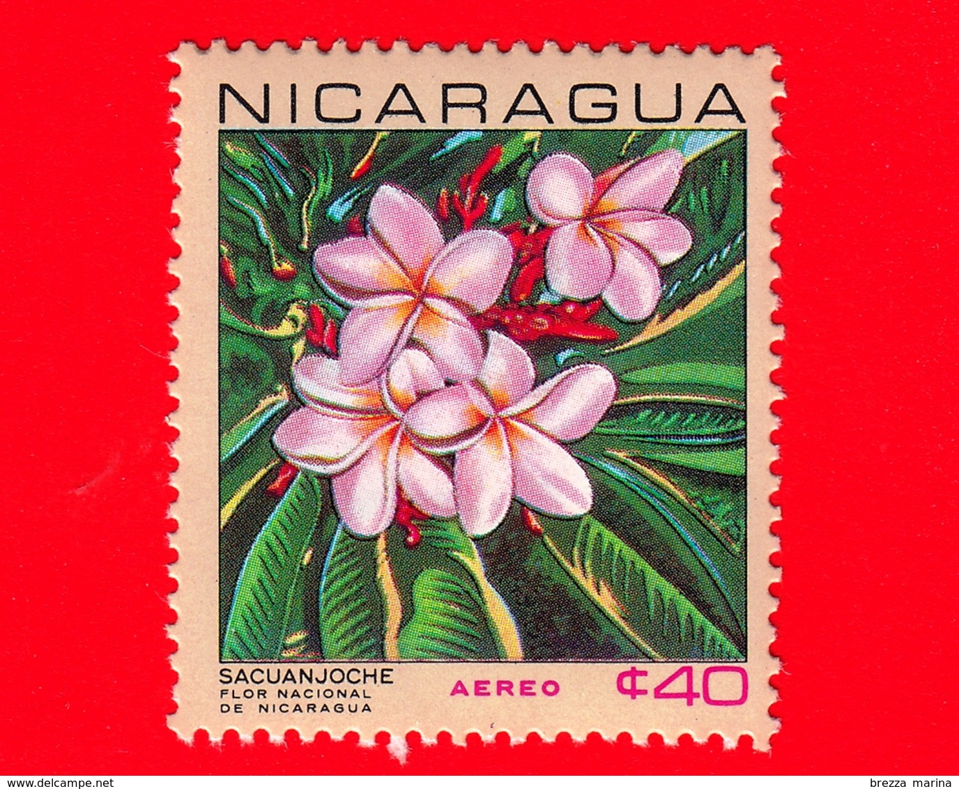 Nuovo - NICARAGUA  - 1967 - Fiori - National Flowers - Plumeria Alba - 40  - Posta Aerea - Nicaragua