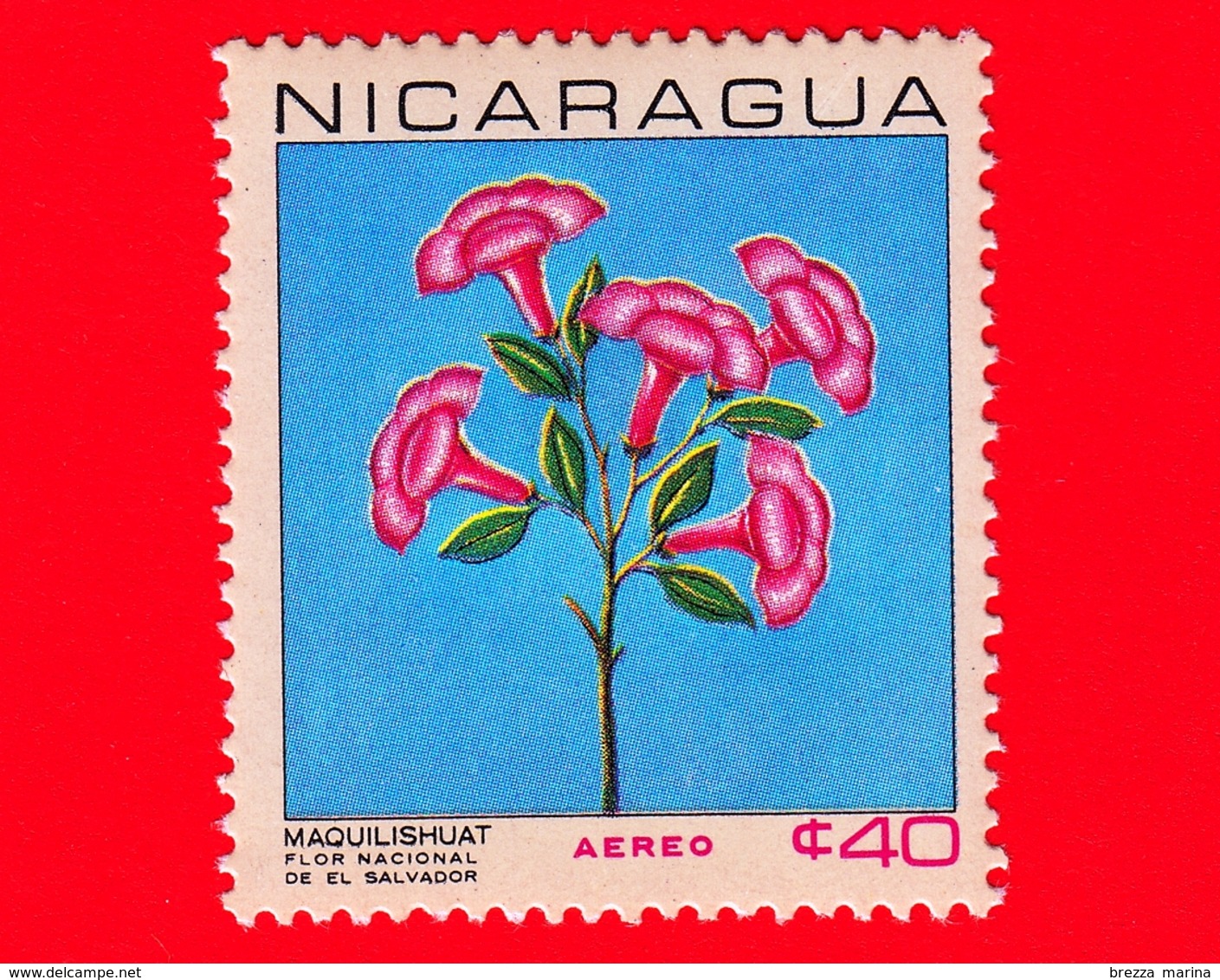 Nuovo - NICARAGUA  - 1967 - Fiori - National Flowers - Tabebuia Pentaphylla - 40  - Posta Aerea - Nicaragua