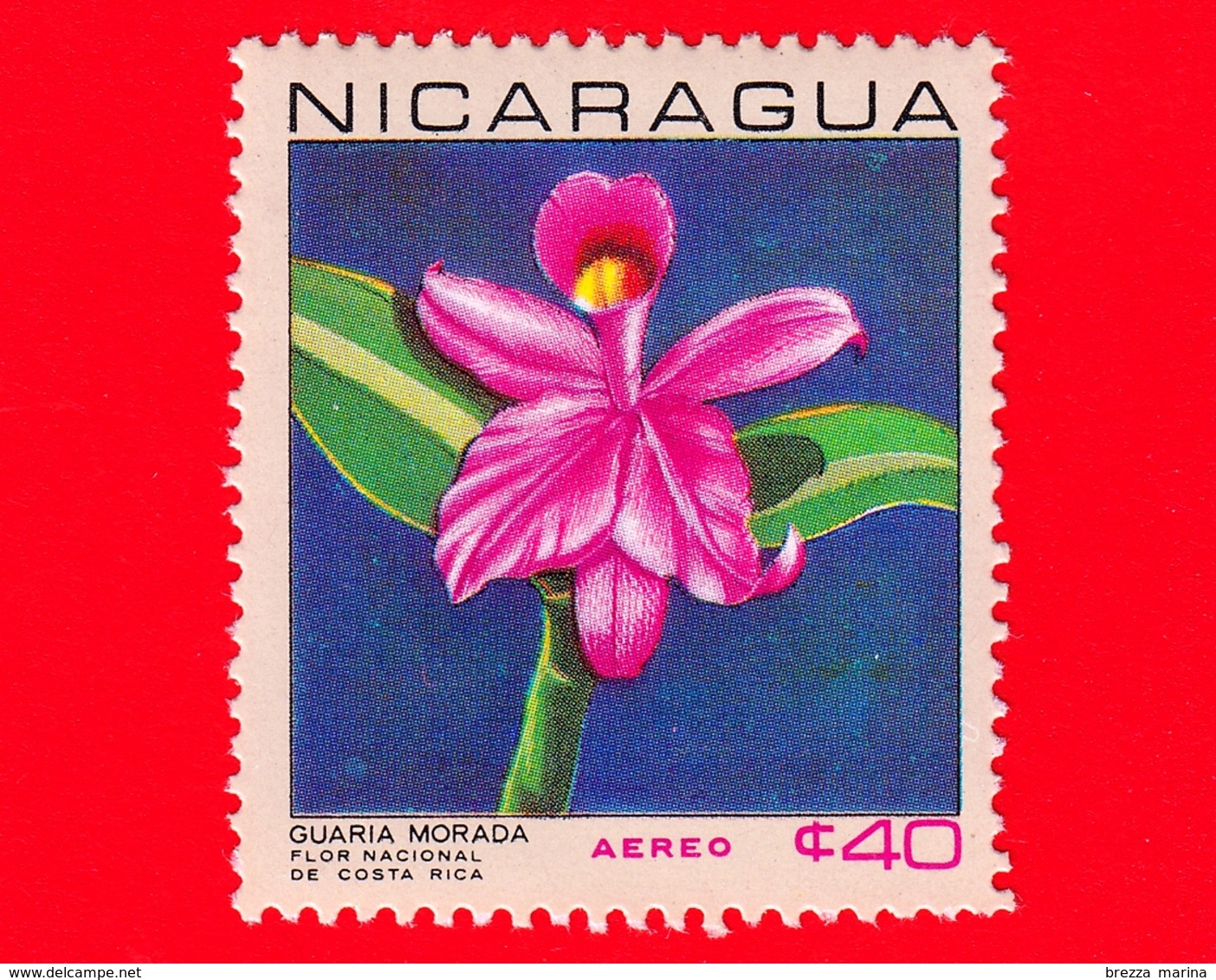 Nuovo - NICARAGUA  - 1967 - Fiori - Orchidea - National Flowers - Cattleya Skinneri - 40  - Posta Aerea - Nicaragua