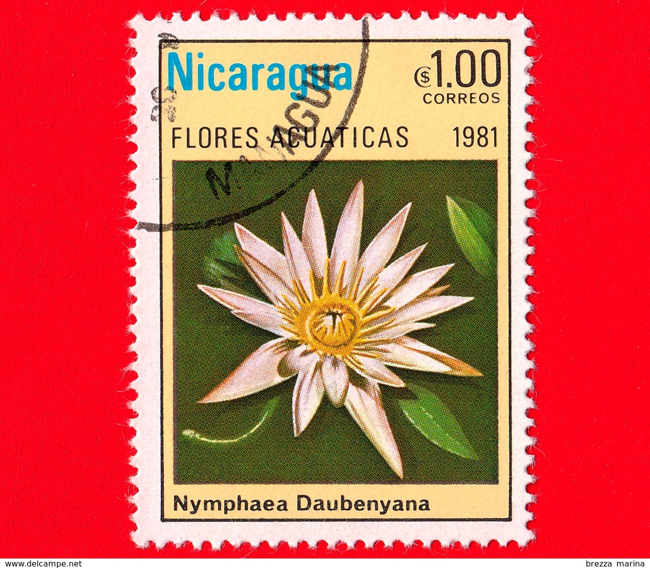 NICARAGUA  - Nuovo Oblit. - 1981 - Fiori Acquatici - Aquatic Flowers - Fleurs - Daubenyana - 1.00 - Nicaragua