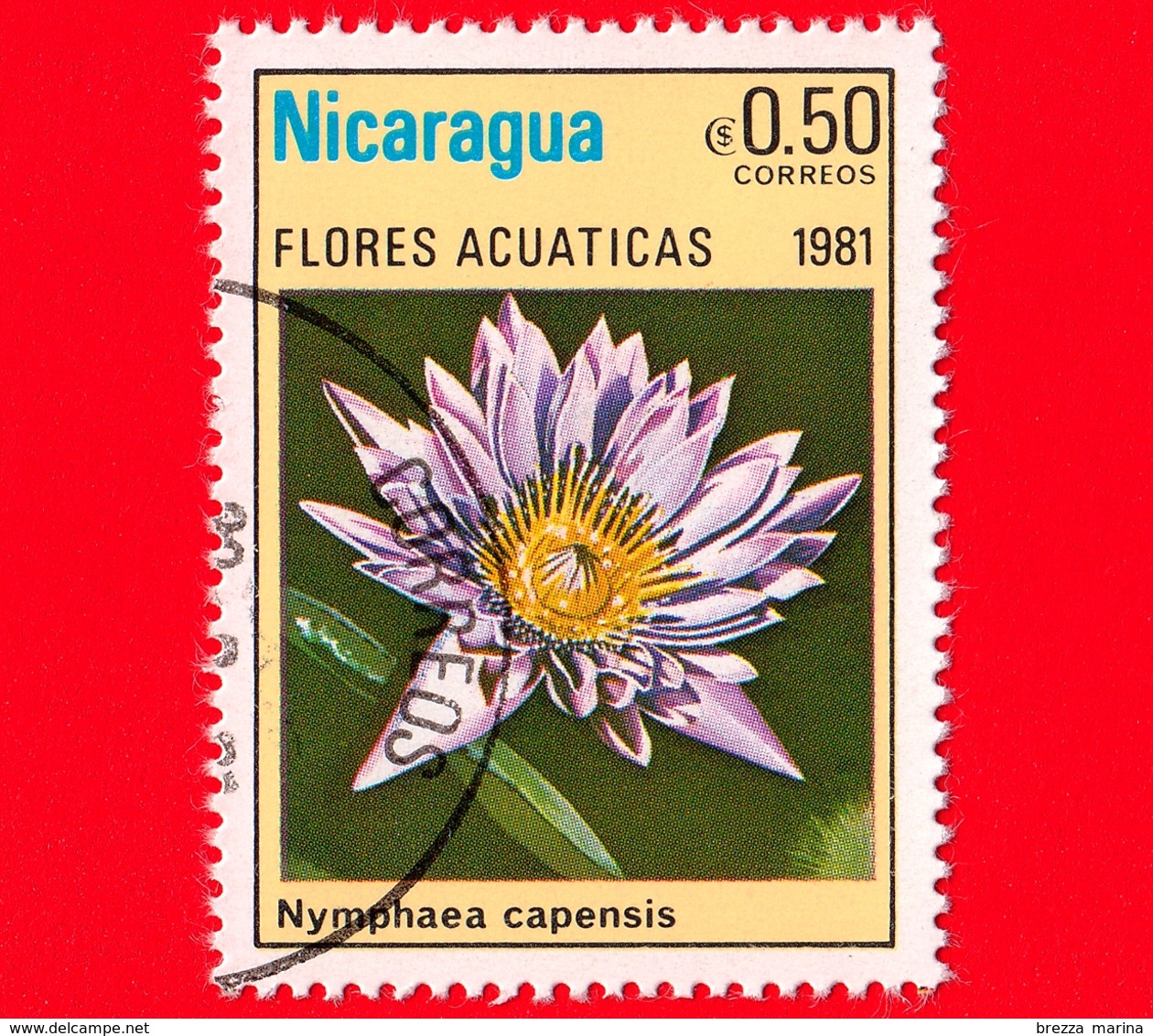 NICARAGUA  - Nuovo - 1981 - Fiori Acquatici - Flowers - Fleurs - Nymphaea Capensis - 0.50 - Nicaragua