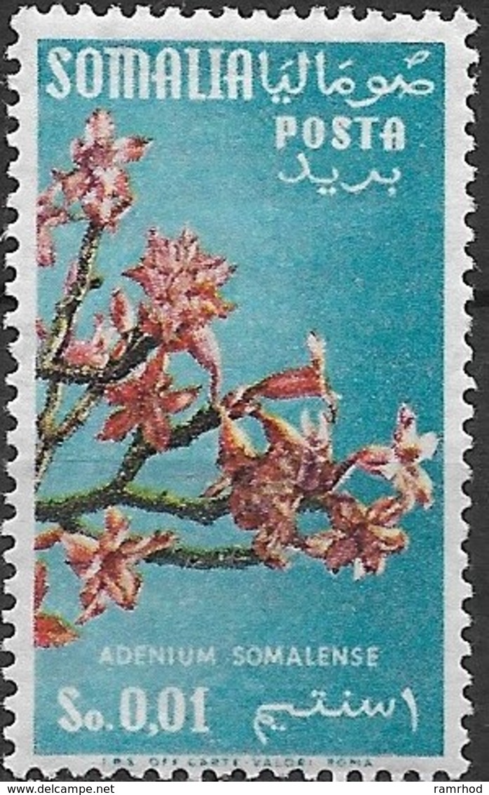 SOMALIA 1955 Floral Designs - 1c Adenium Somalense MH - Somalië