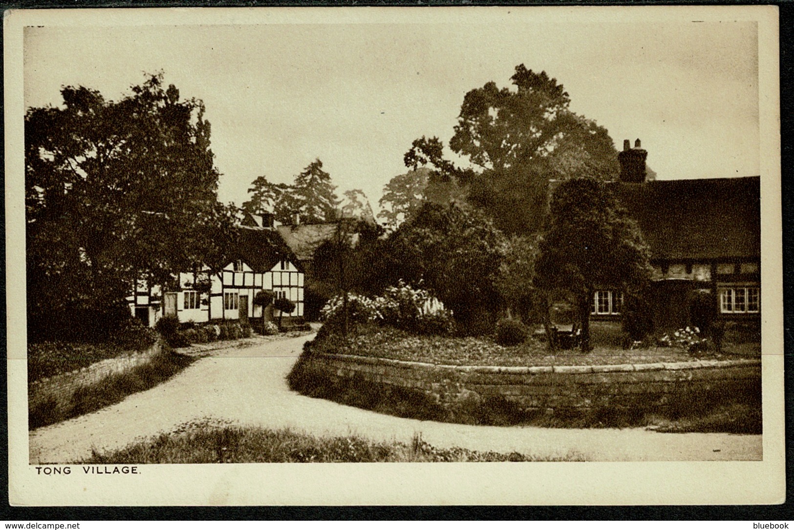 Ref 1250 - Early Postcard - Tong Village Shropshire Salop - Shropshire