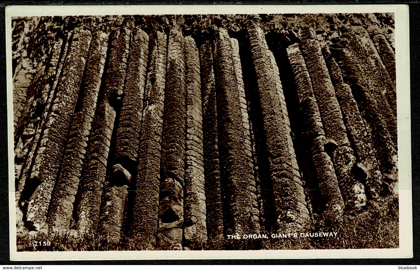 Ref 1250 - Real Photo Postcard - The Organ - Giant's Causeway Antrim Ireland - Antrim