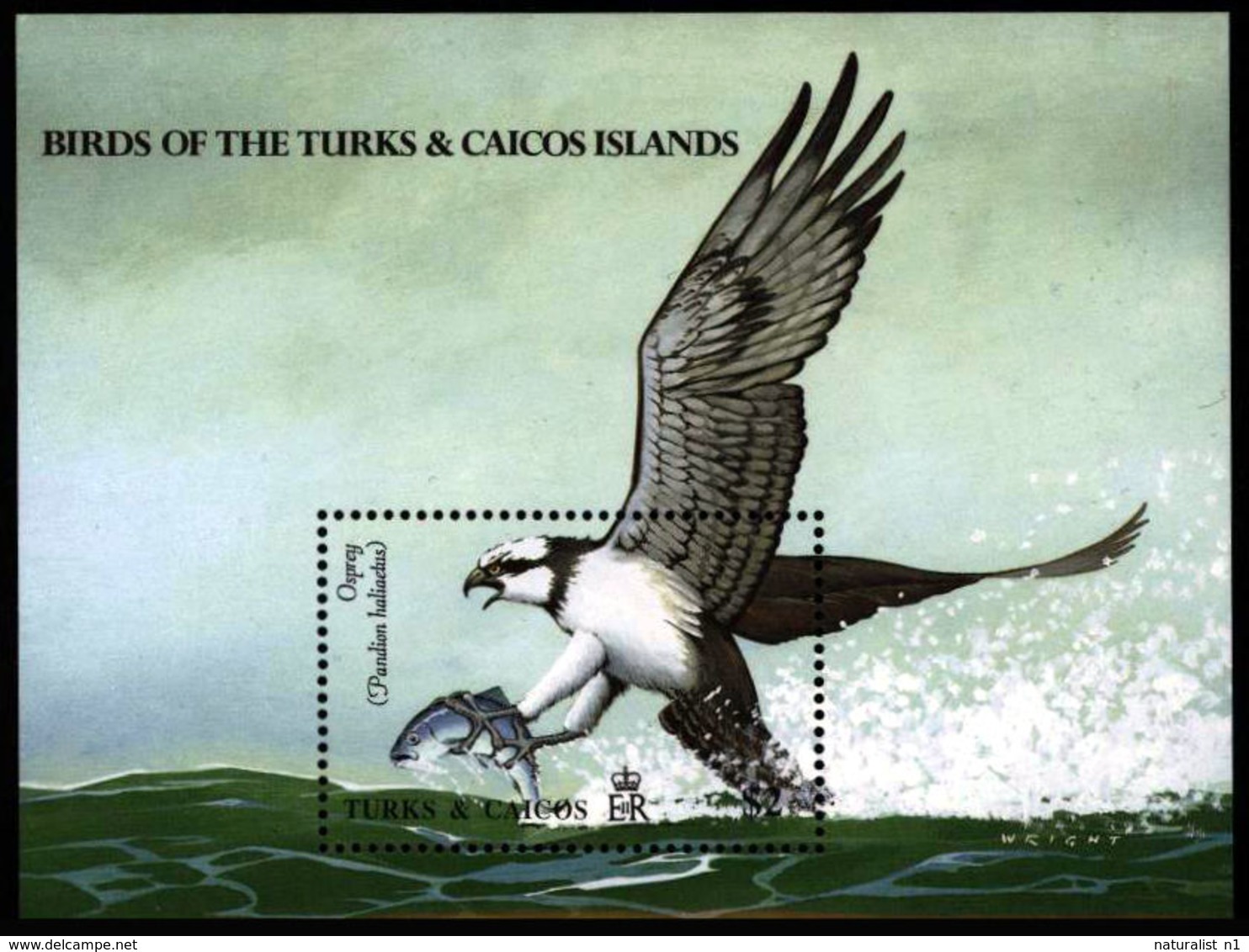 Turks & Caicos 1990 **MNH Osprey Fischadler Balbuzard Pêcheur - Adler & Greifvögel