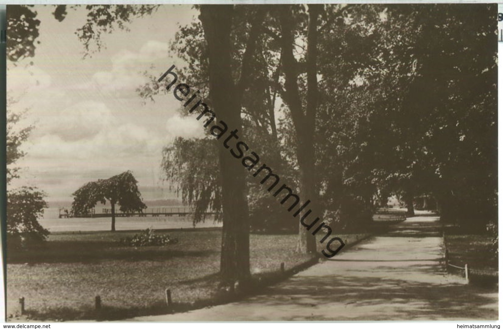 Waren - Kurpromenade Am Kietz - Foto-Ansichtskarte 20er Jahre - Verlag L. Maass Waren - Waren (Mueritz)