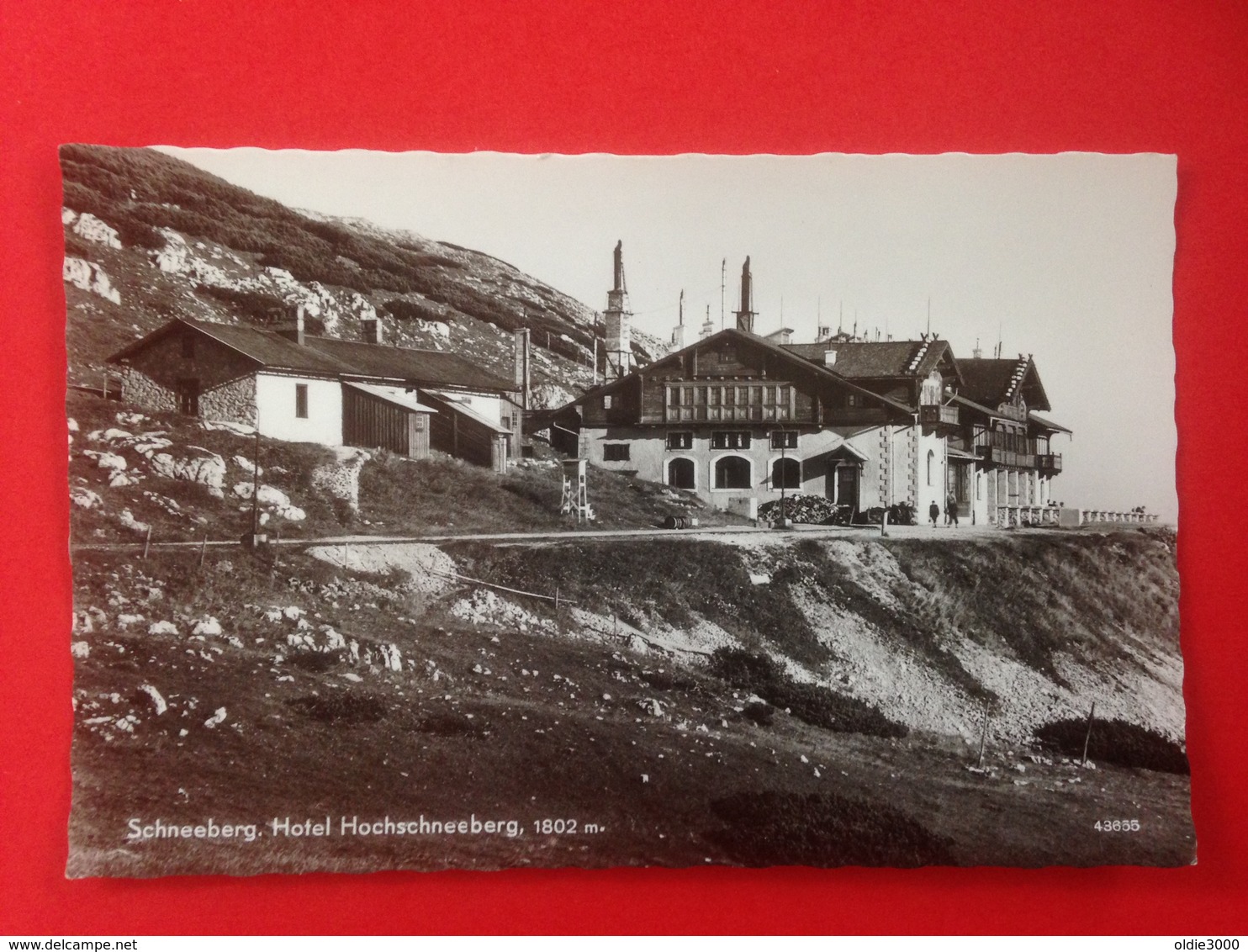 Puchberg Hotel Hochschneeberg 2333 - Schneeberggebiet