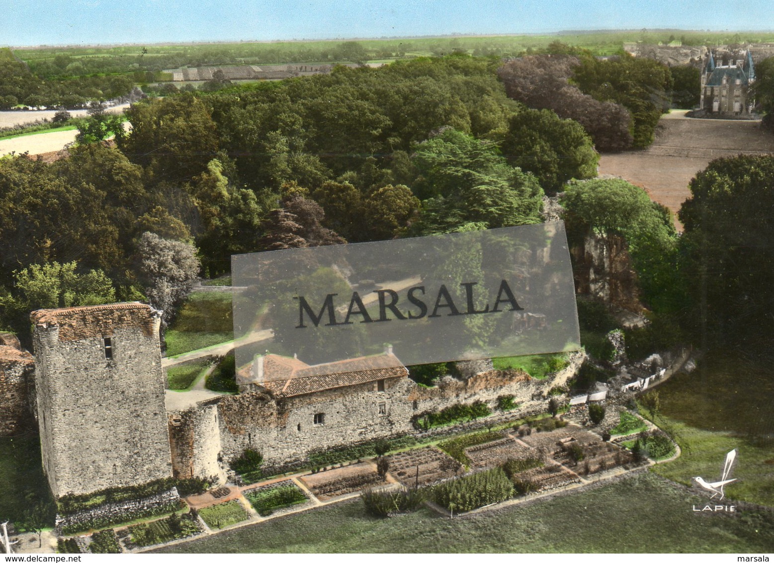 CPSM  Les Essarts  Ruines  Du Vieux  Chateau - Les Essarts