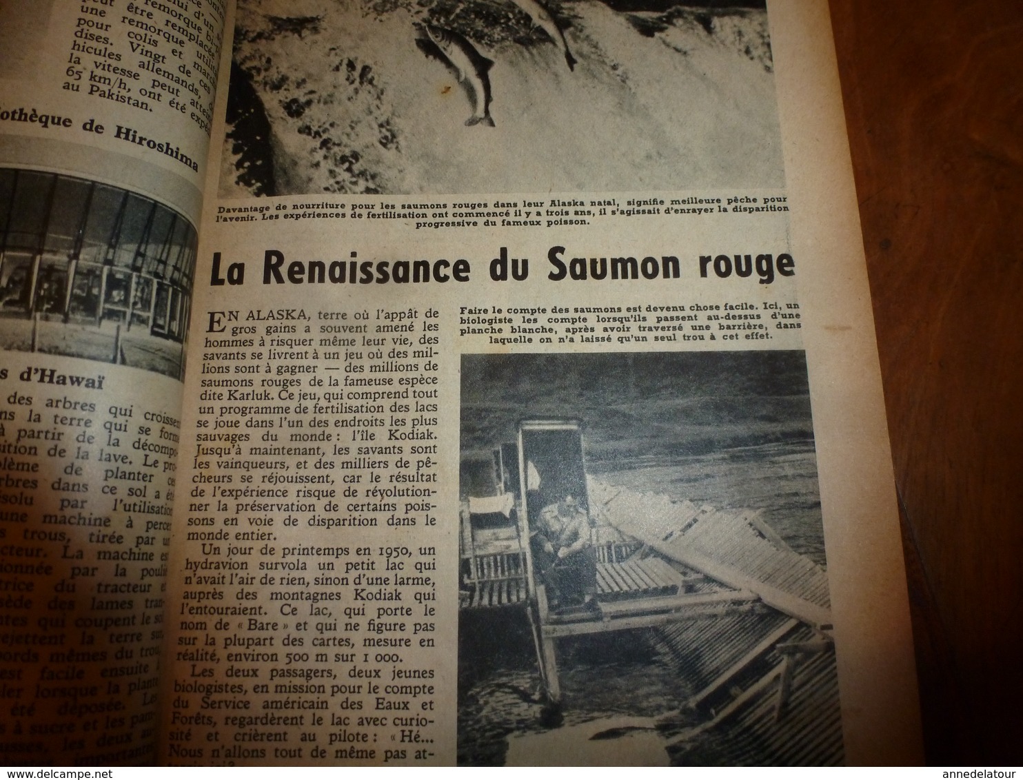 1953 MÉCANIQUE POPULAIRE:Arbre a musique;Saumon rouge;Faire un cheval à bascule;Pas faire le malin avec un douanier;etc