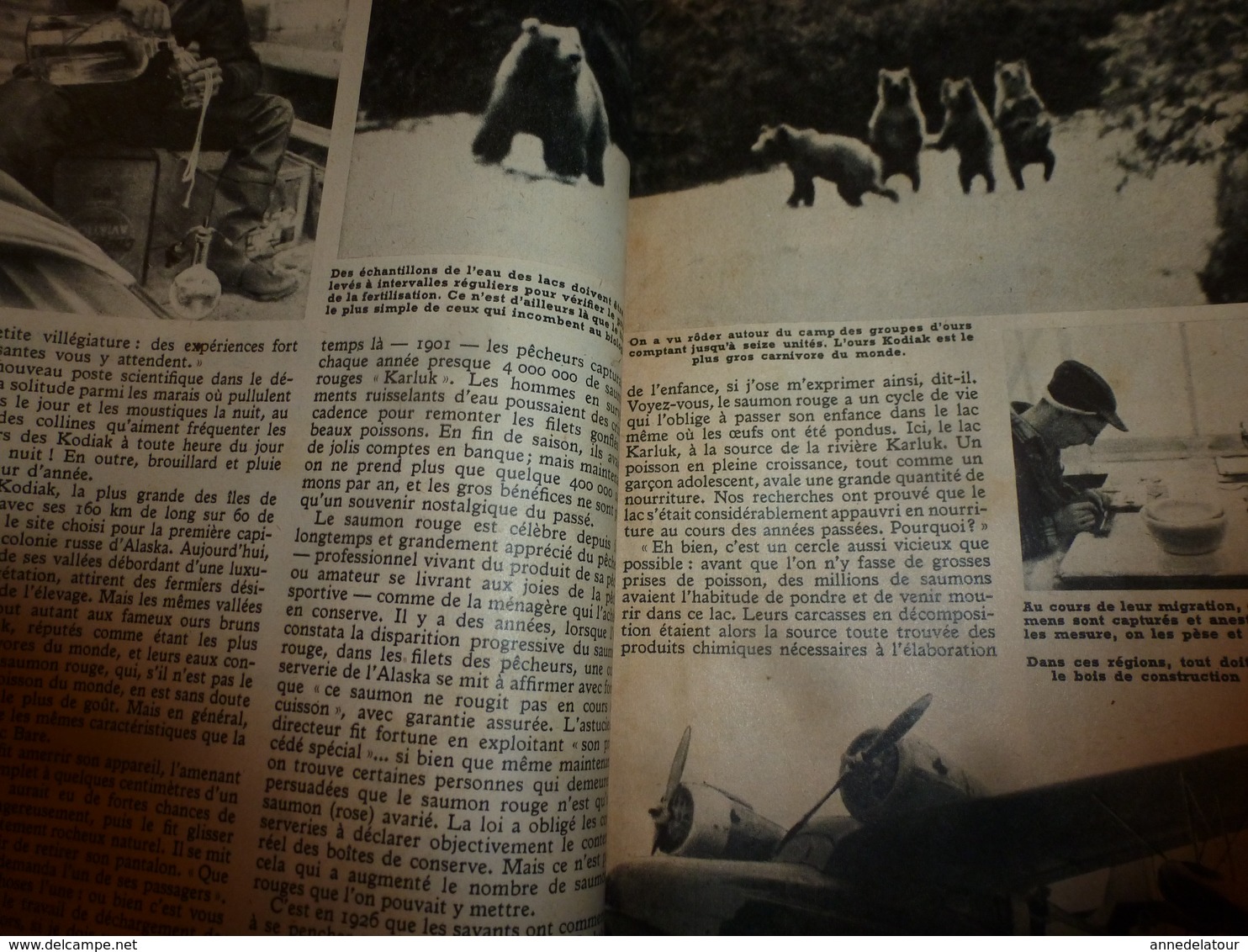 1953 MÉCANIQUE POPULAIRE:Arbre a musique;Saumon rouge;Faire un cheval à bascule;Pas faire le malin avec un douanier;etc