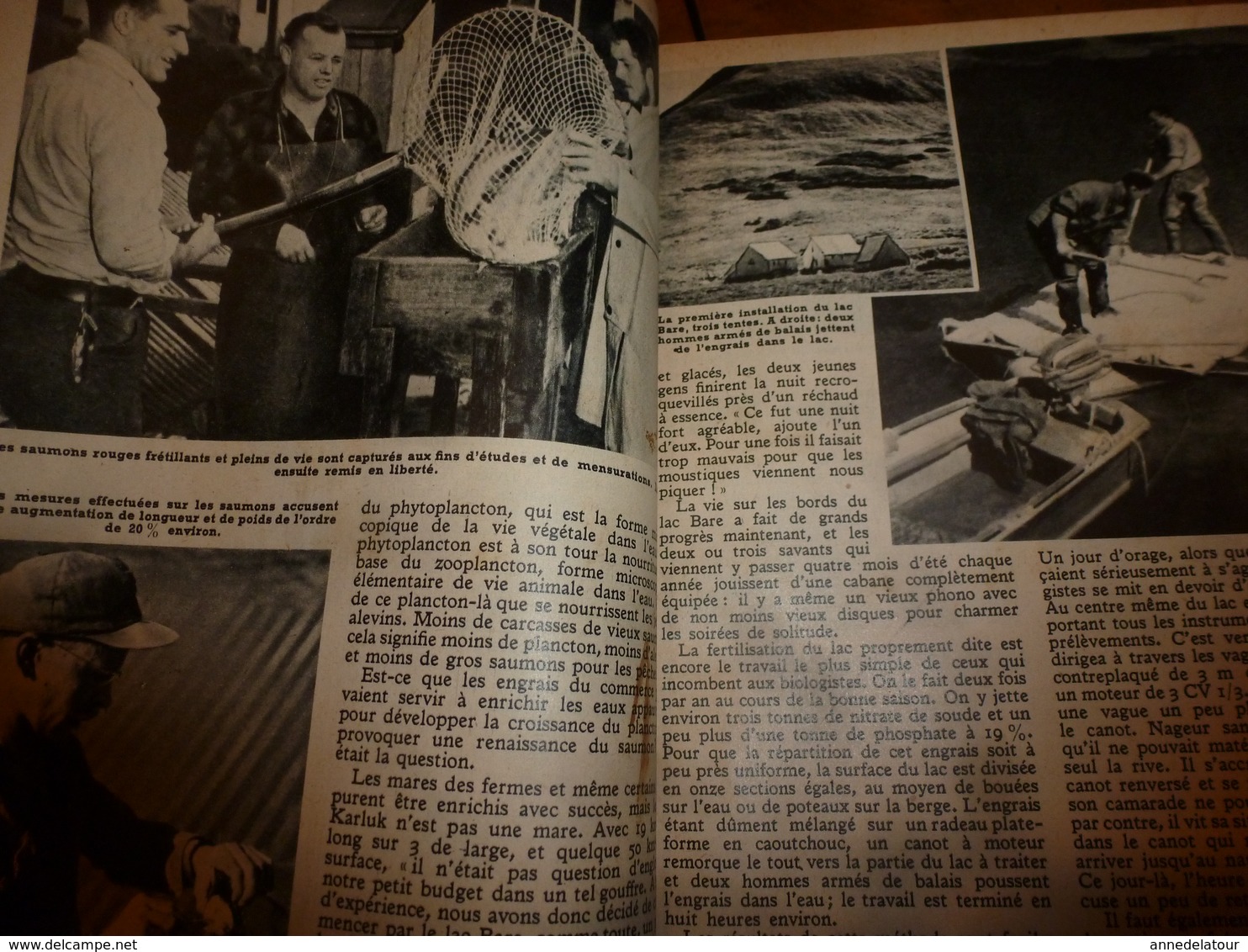 1953 MÉCANIQUE POPULAIRE:Arbre a musique;Saumon rouge;Faire un cheval à bascule;Pas faire le malin avec un douanier;etc