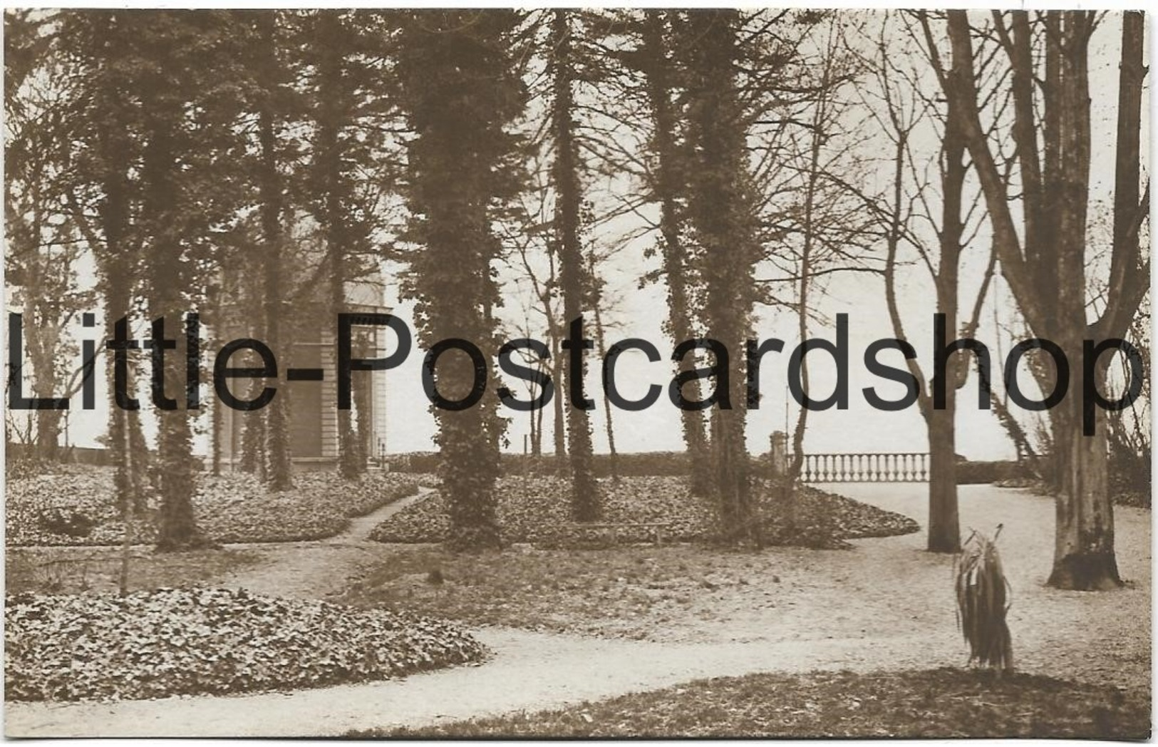 Foto AK Rethel Schlosspark Feldpostkarte Ca. 1915 Chateau - Guerre 1914-18