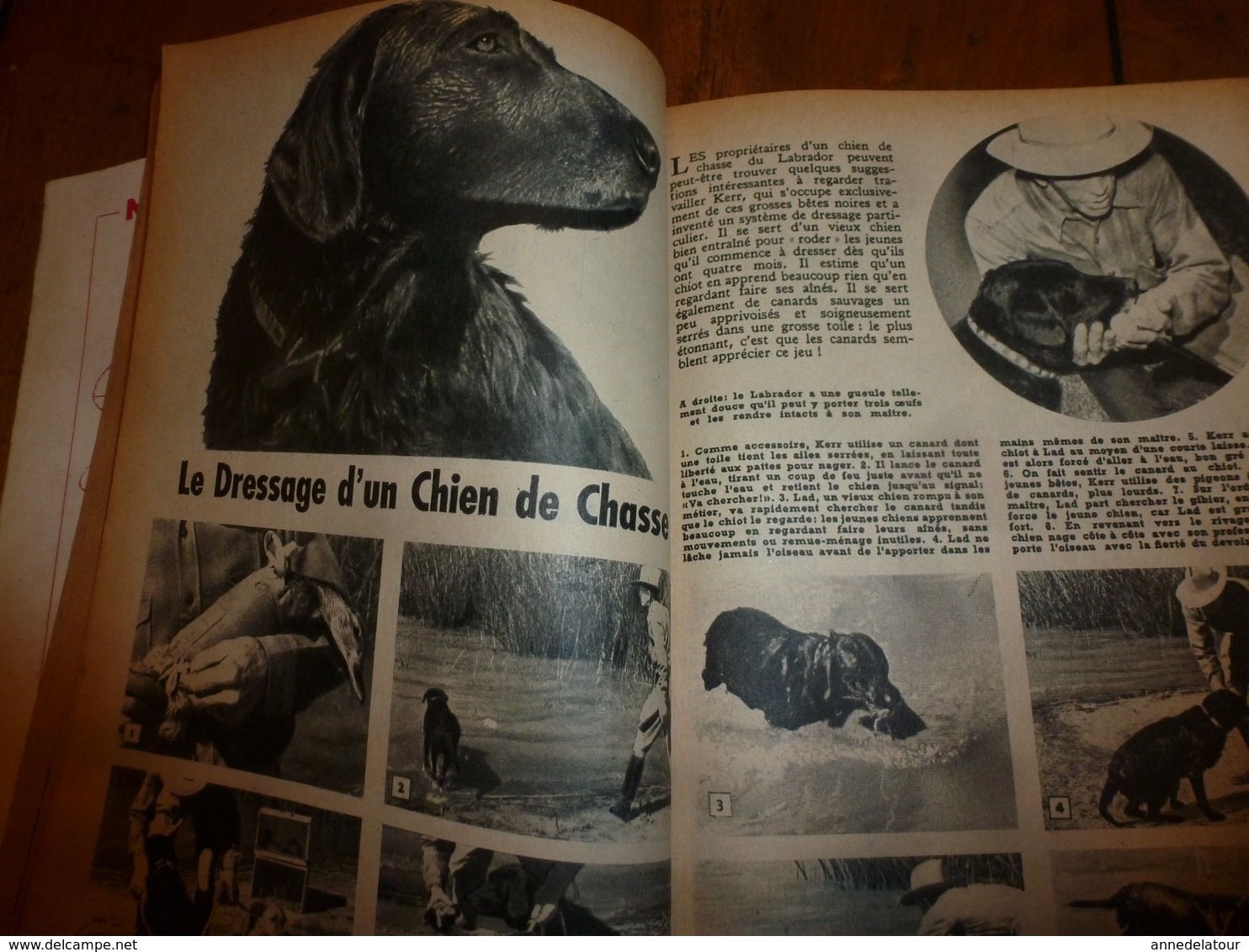 1953 MÉCANIQUE POPULAIRE: Maison anti-atomique;Dressage chien de chasse;Faire une fausse-vraie pierre précieuse;etc