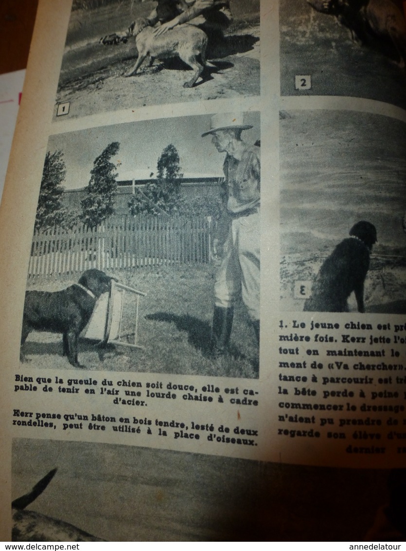 1953 MÉCANIQUE POPULAIRE: Maison anti-atomique;Dressage chien de chasse;Faire une fausse-vraie pierre précieuse;etc