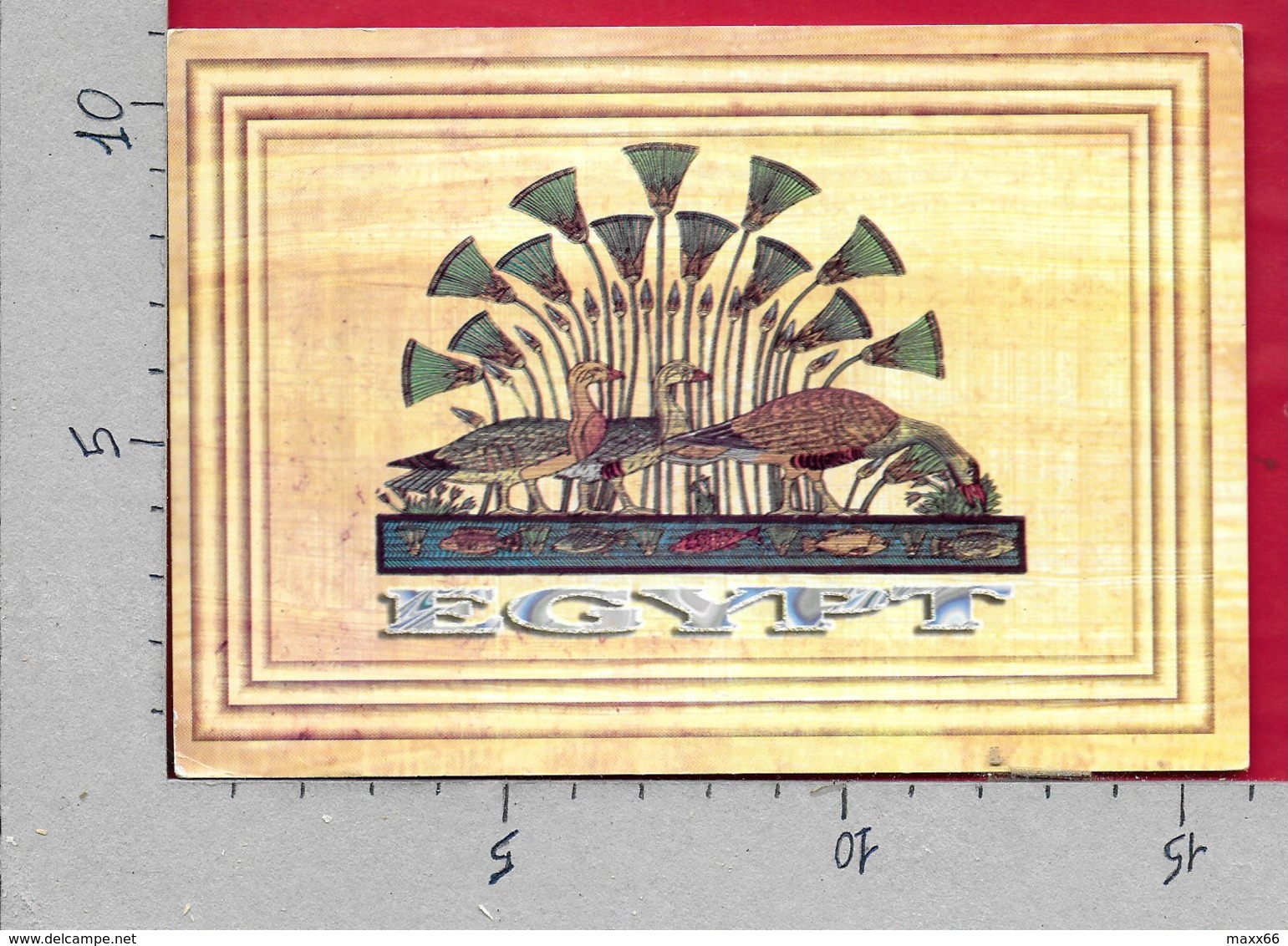 CARTOLINA VG EGITTO - EGYPT - Simbologia E Geroglifici - 11 X 16 - ANN. 19?? - Africa