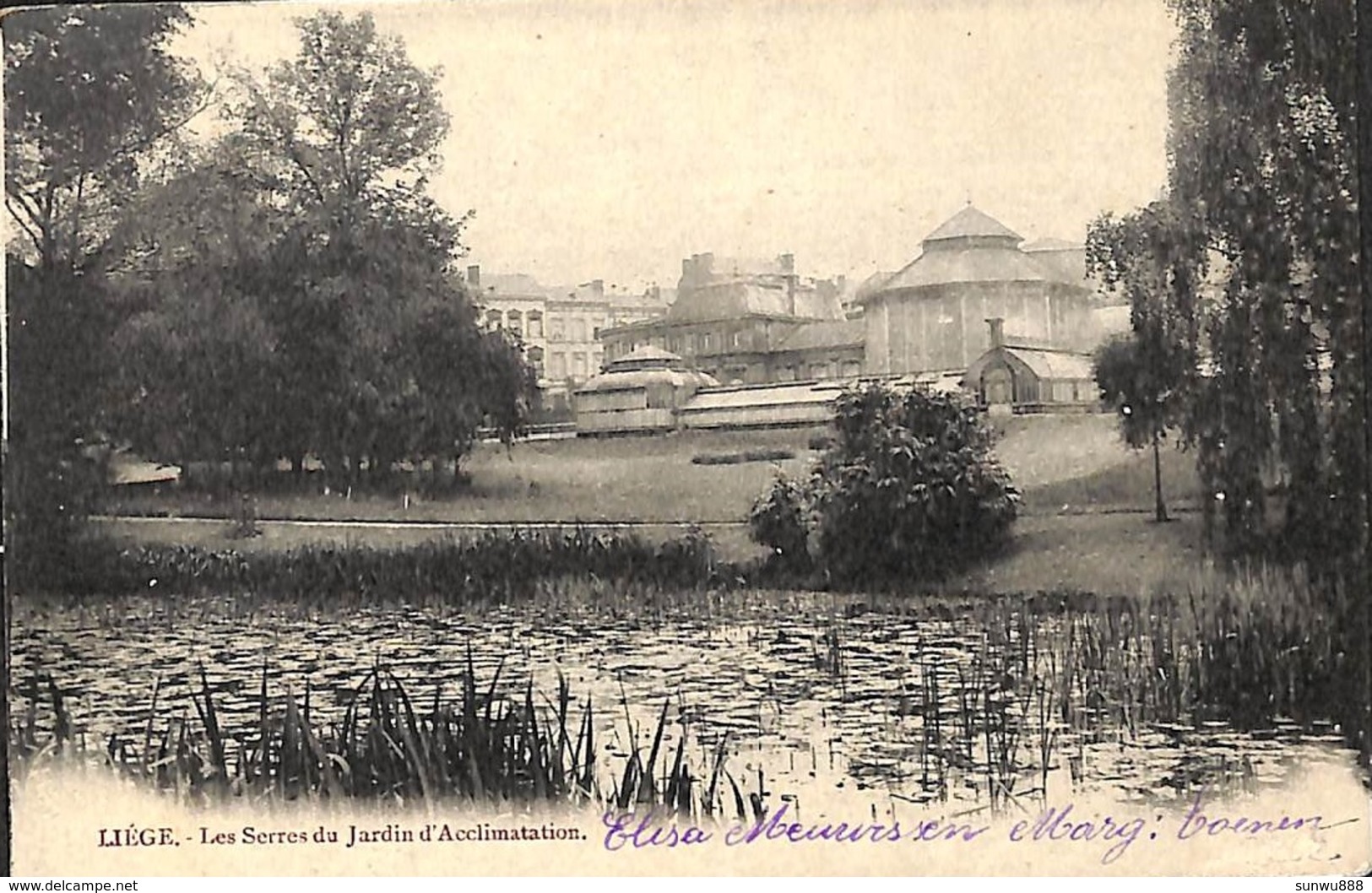 Liège - Les Serres Du Jardin D'Acclimatation (1904) - Liege